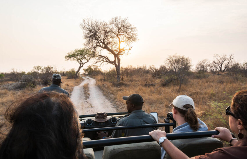 Safaris in Südafrika und Namibia, Reiseblog, Reisetipps
