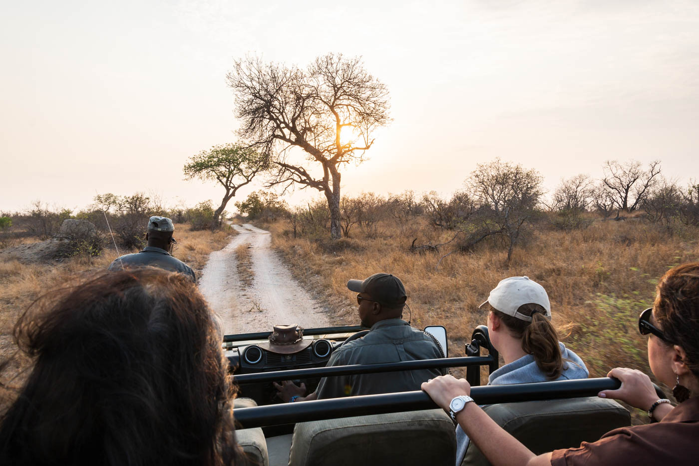 Unterschiede zwischen einer Selbstfahrer- und einer begleiteten Safari-Tour.